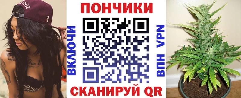 Купить закладки  Емва  Бошки марихуана план 